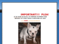 thewrongpuppy.org