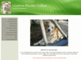 onetreebordercollies.com