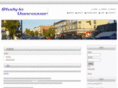 stinvan.com