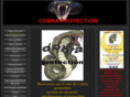 cobra-protection.net
