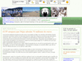 mijashoy.com