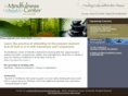 mindfulnesscenterofasheville.com