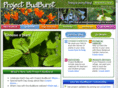 projectbudburst.org