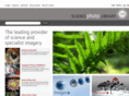 rfmotion.com