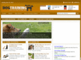 thedogtrainingexpert.com