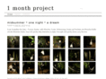 1monthproject.com