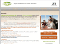 aclipsebackgroundcheck.com