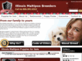 illinoismaltipoobreeders.com