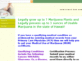 medicalmarijuanaservices.com