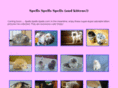 spells-spells-spells.com
