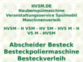 hvsm.de
