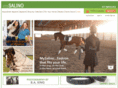 mysalino.com