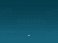 westernabrasive.com
