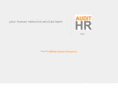 audithr.com