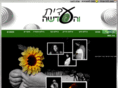 iditvehaadasha.com