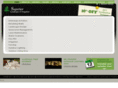 moonlightillumination.com