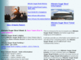neworleans-resort.com