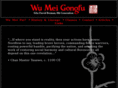 wumeigongfu.com