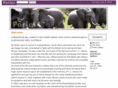 billharvey-porini.com