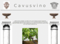 cavusvino.com