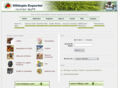 ethiodelala.com