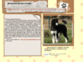 meadowlandstandardpoodles.com