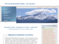 peakviewconsultinggroup.com