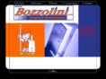 bozzolini.com