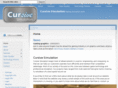 cursive-simulation.com