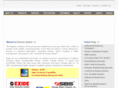 electronicsystemsindia.com