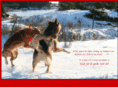 hundelivet.com