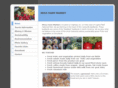 mesafarmmarket.com