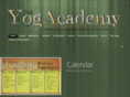 theyogacademy.com