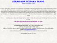 derawndamorganfarms.com