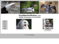 fredmartinphotos.com