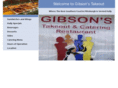 gibsonstakeout.com