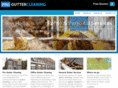proguttercleaning.co.uk