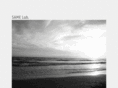 samelaboratory.com