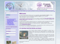 thebrigadeoflight.com