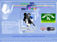 auverpaint.com