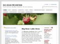 bigbearmountainfun.com