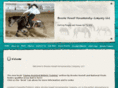 brookehowellhorsemanshipcompany.com