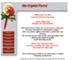 crystal-parrot.com