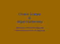hattersleyscarpa.com