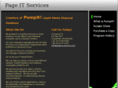 page-it-services.com