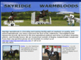 skyridgewarmbloods.com
