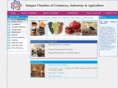 solapurchamber.org