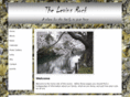 thelevinsrock.com