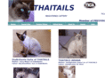 thaitails.com