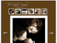 thezahnerfamily.com